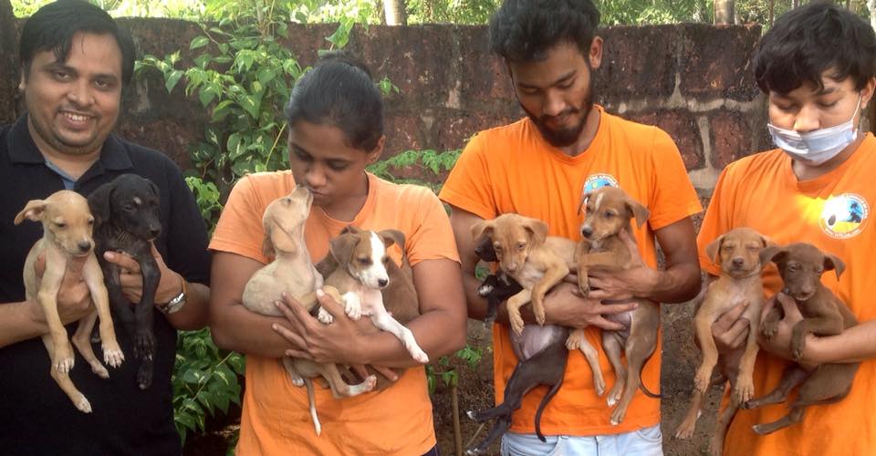WAG Team with rescued pups.  Photo Courtesy of Atul Sarin /Facebook.com/wag.india