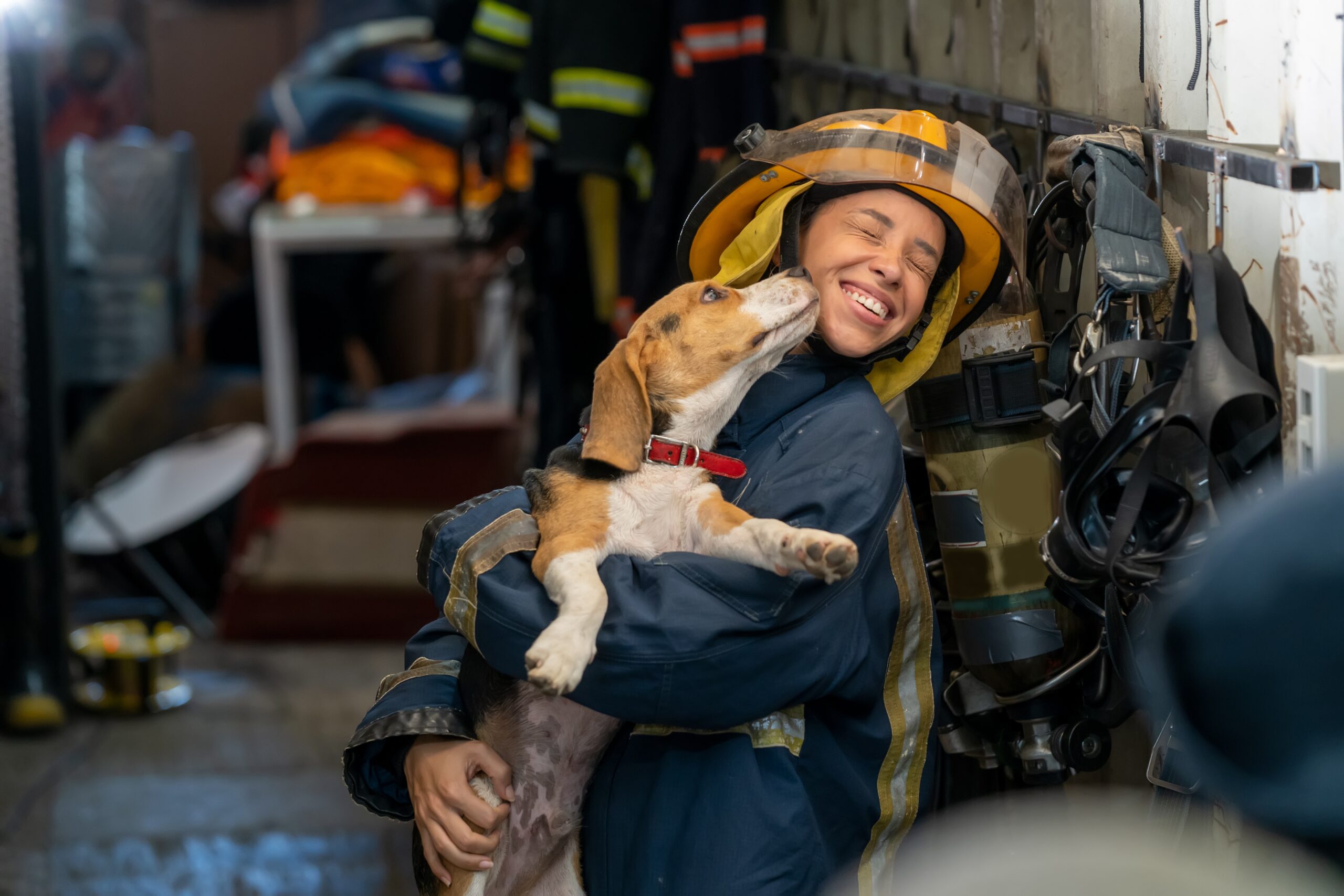 8 Stories of Hero Dogs Saving Human Lives - Be Inspired