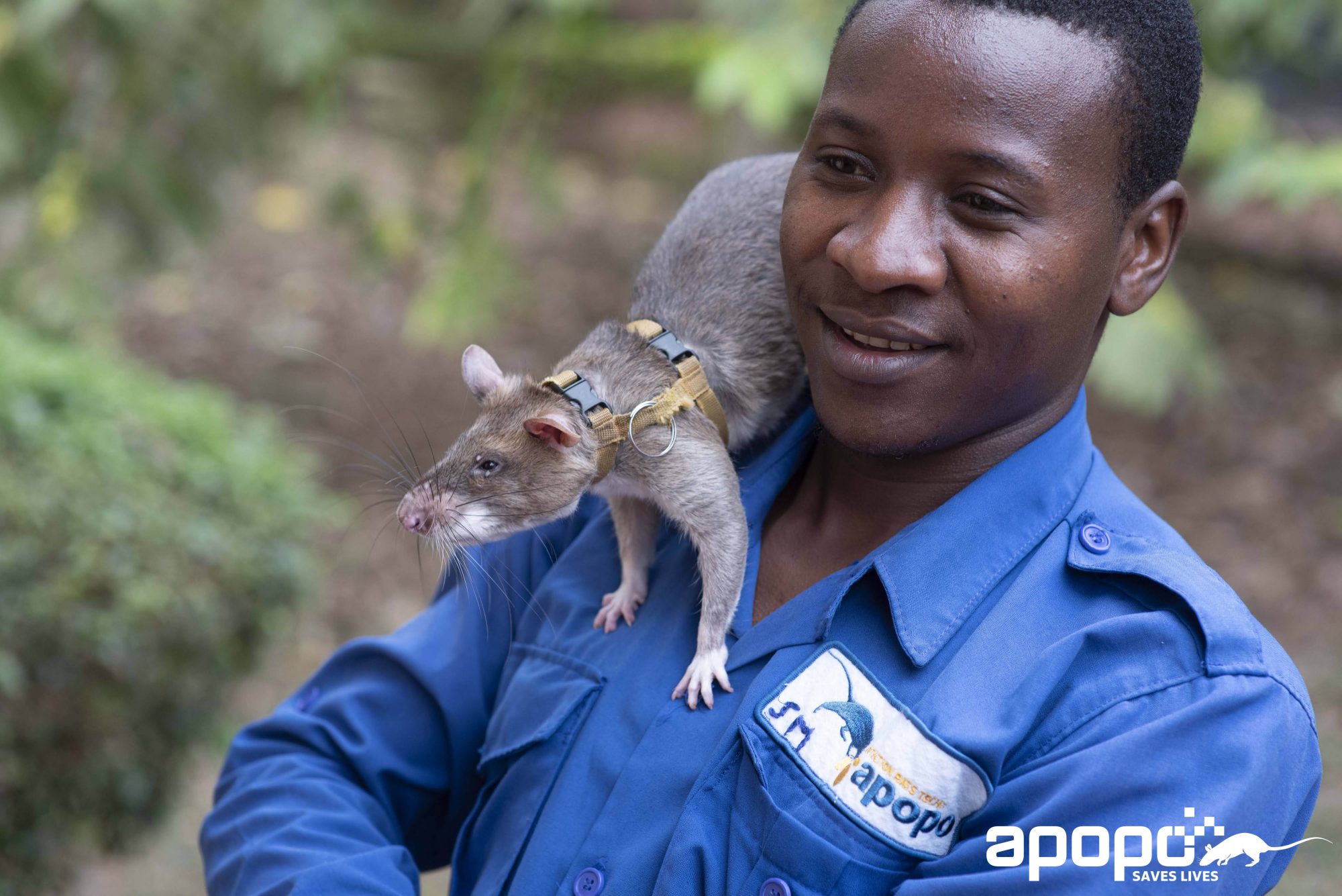 Invisible Heroes: Teaching Rats to Save Lives - Be Inspired