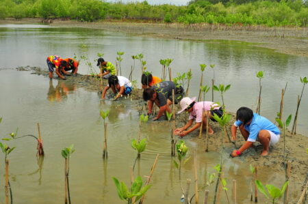 Positive Uplifting Stories - Koli Uses Traditional Knowledge to Improve Mumbai’s Coastal Ecosystem